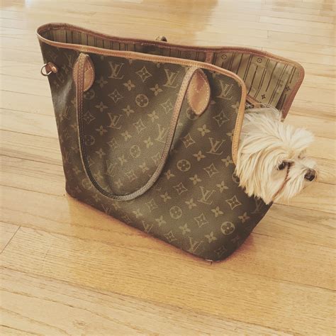 louis vuitton vestiti per cani|Animali: ecco la Louis Vuitton Pet Carrier .